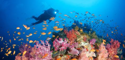 Fiji
