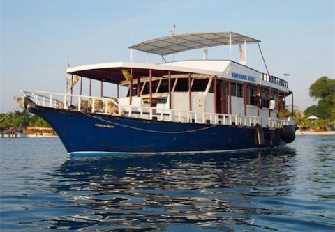 Maldive Pelagic Magic image