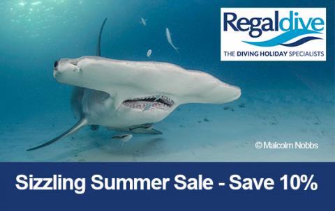 Regaldive summer sale