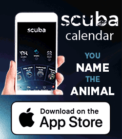 SCUBA Calendar App