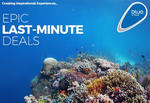 blue o two epic last minute deals